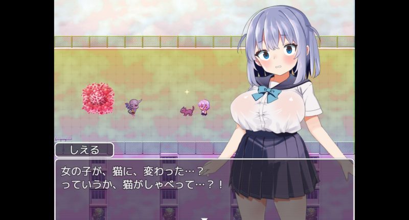 魔法少女ソルシエール