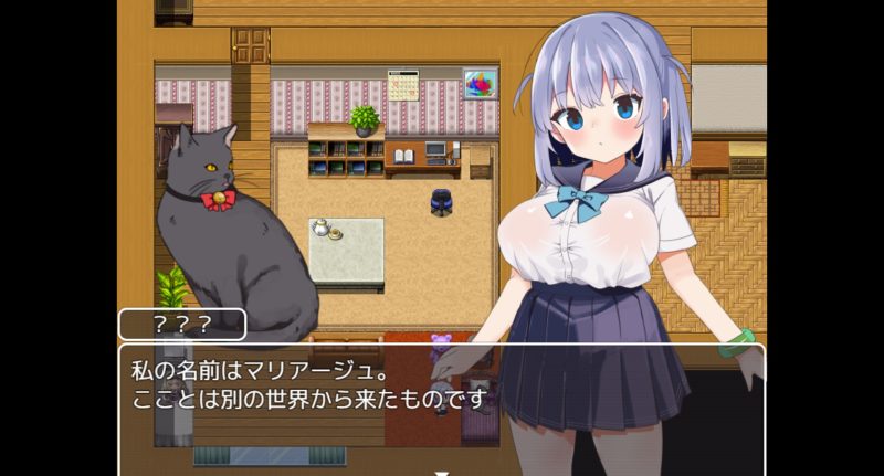 魔法少女ソルシエール