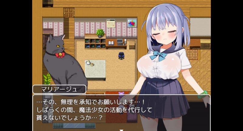 魔法少女ソルシエール