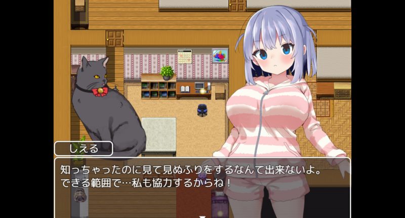 魔法少女ソルシエール